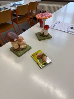Tag_der_offenenTur_1_1796553701367