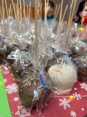 WhatsApp_Image_2025-12-05_at_07.25.38_8_1773308945653