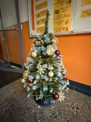 WhatsApp_Image_2025-12-05_at_07.25.38_9_1872990714664