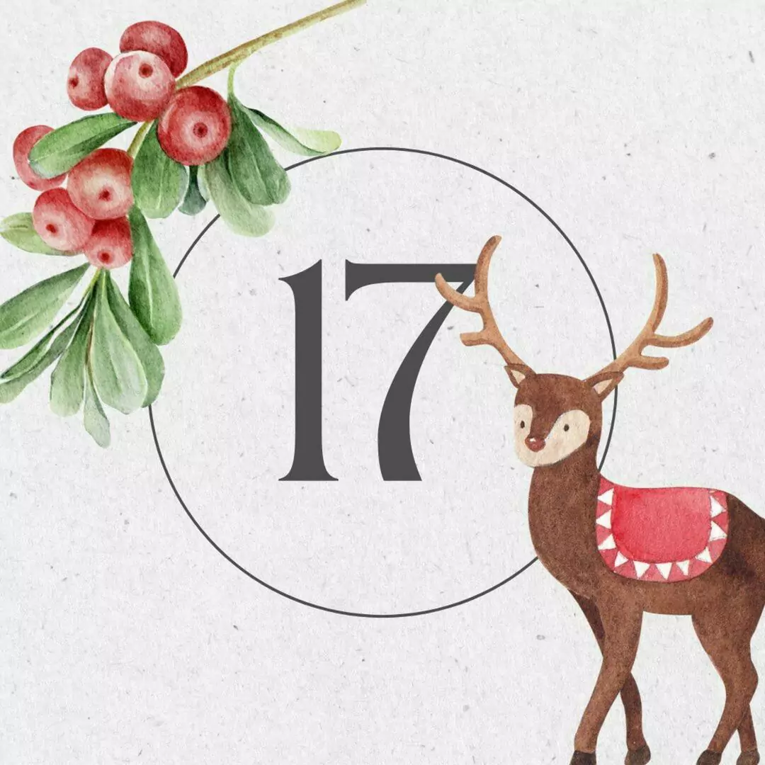Adventskalender - Tür 17