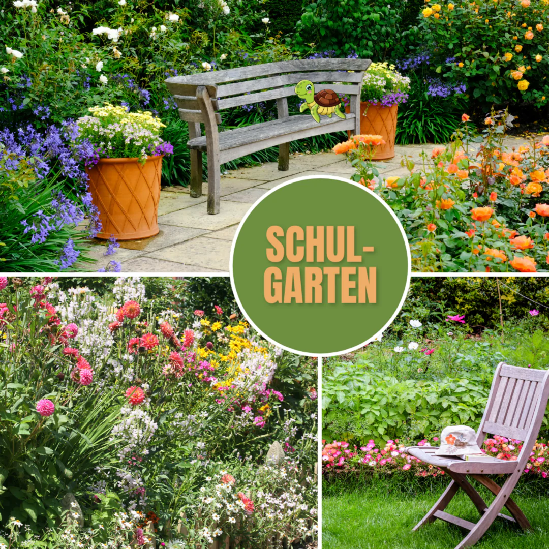 Projekt Schulgarten